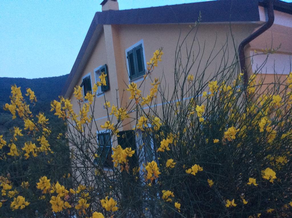 Ca Di Giaco Leilighet Moneglia Eksteriør bilde